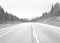 Road to success